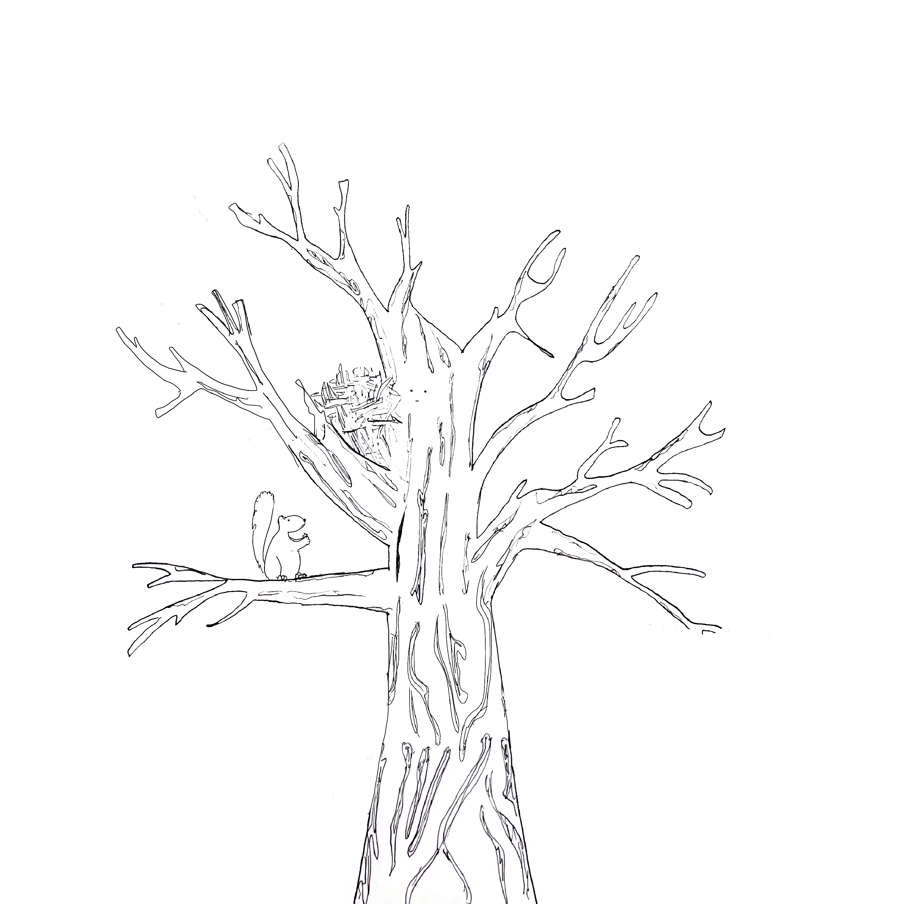 The Squirrel & the Tree